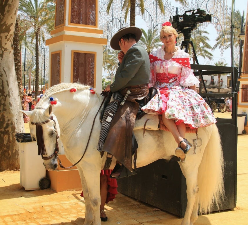 Andalusian Horses
